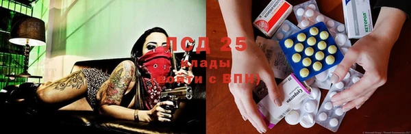 бошки Медногорск