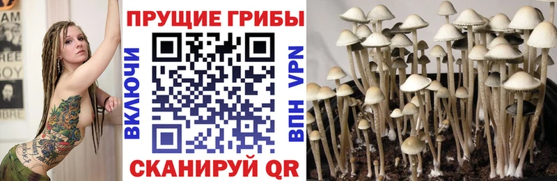 Галлюциногенные грибы Magic Shrooms  Яровое 